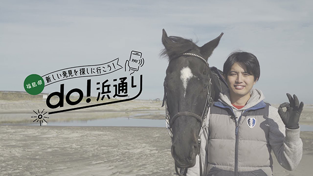 Horse Value